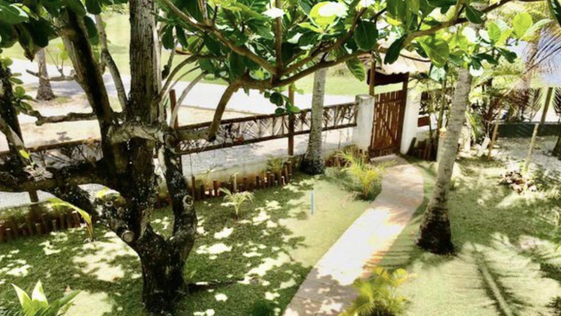Paradise Beach House Imbassai Dış mekan fotoğraf